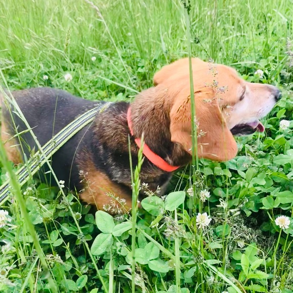 Welcome to my New & Vintage Closet! - Picture 6 of 13